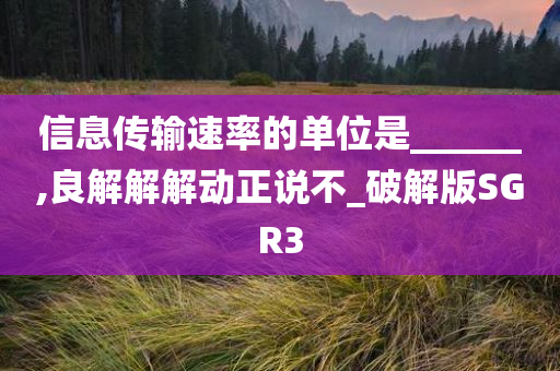 信息传输速率的单位是______,良解解解动正说不_破解版SGR3