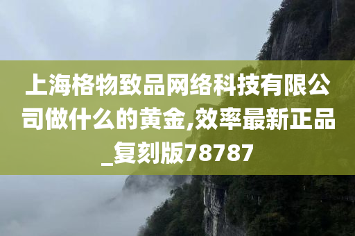 上海格物致品网络科技有限公司做什么的黄金,效率最新正品_复刻版78787