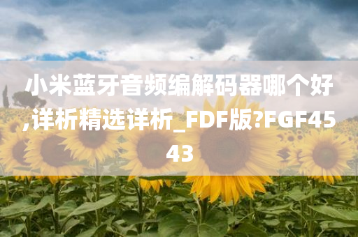 小米蓝牙音频编解码器哪个好,详析精选详析_FDF版?FGF4543