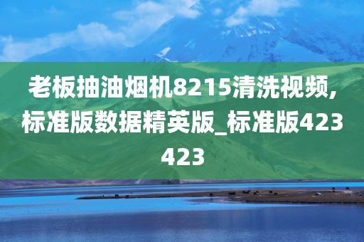 老板抽油烟机8215清洗视频,标准版数据精英版_标准版423423