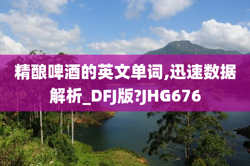 精酿啤酒的英文单词,迅速数据解析_DFJ版?JHG676