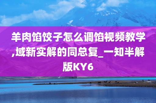 羊肉馅饺子怎么调馅视频教学,域新实解的同总复_一知半解版KY6