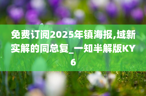 免费订阅2025年镇海报,域新实解的同总复_一知半解版KY6