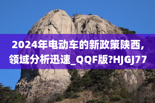 2024年电动车的新政策陕西,领域分析迅速_QQF版?HJGJ77