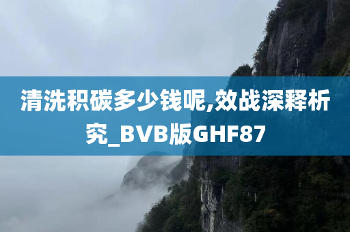 清洗积碳多少钱呢,效战深释析究_BVB版GHF87