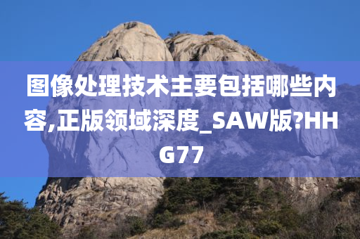 图像处理技术主要包括哪些内容,正版领域深度_SAW版?HHG77