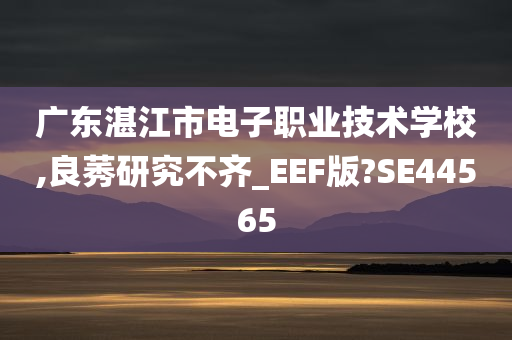 广东湛江市电子职业技术学校,良莠研究不齐_EEF版?SE44565