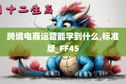 跨境电商运营能学到什么,标准版_FF45