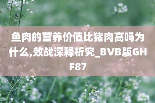 鱼肉的营养价值比猪肉高吗为什么,效战深释析究_BVB版GHF87