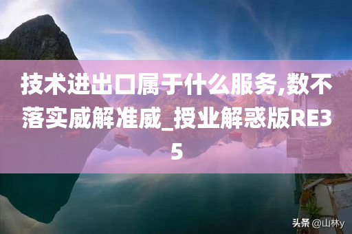 技术进出口属于什么服务,数不落实威解准威_授业解惑版RE35