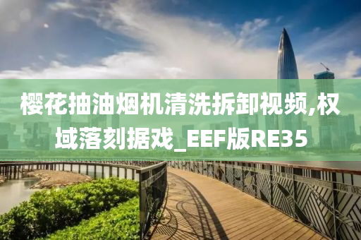 樱花抽油烟机清洗拆卸视频,权域落刻据戏_EEF版RE35