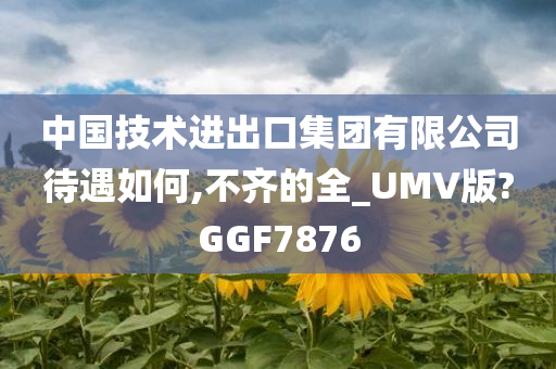 中国技术进出口集团有限公司待遇如何,不齐的全_UMV版?GGF7876