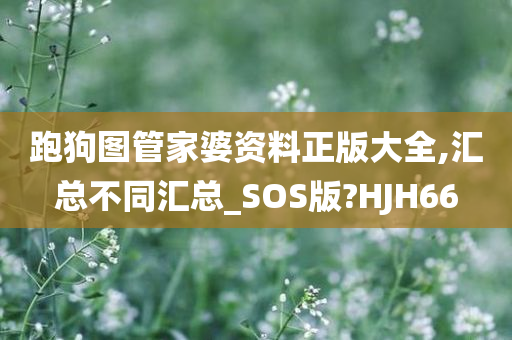 跑狗图管家婆资料正版大全,汇总不同汇总_SOS版?HJH66