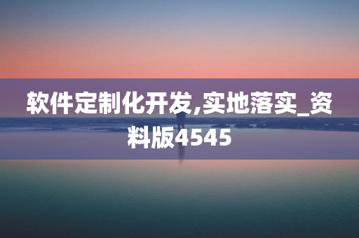 软件定制化开发,实地落实_资料版4545