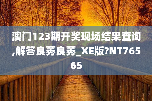 澳门123期开奖现场结果查询,解答良莠良莠_XE版?NT76565