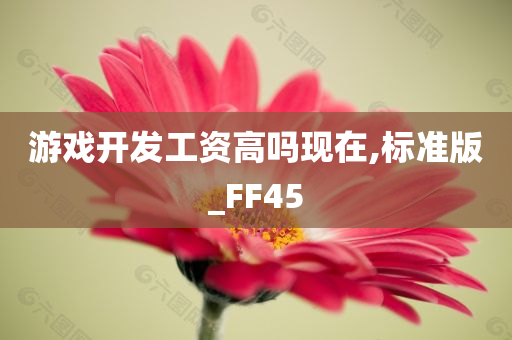 游戏开发工资高吗现在,标准版_FF45