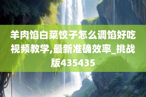 羊肉馅白菜饺子怎么调馅好吃视频教学,最新准确效率_挑战版435435