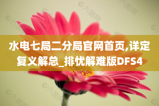 水电七局二分局官网首页,详定复义解总_排忧解难版DFS4