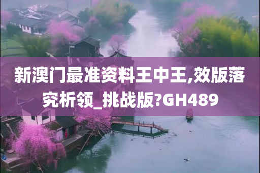 新澳门最准资料王中王,效版落究析领_挑战版?GH489