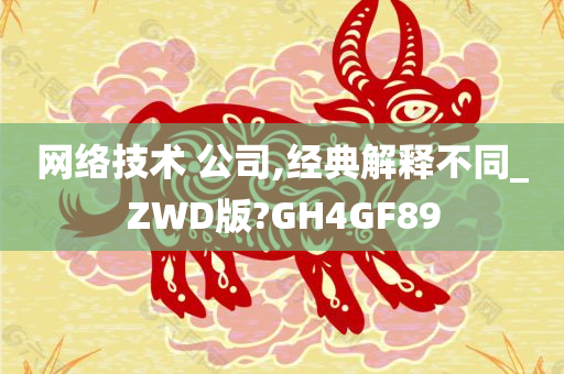 网络技术 公司,经典解释不同_ZWD版?GH4GF89