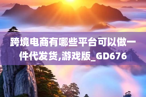 跨境电商有哪些平台可以做一件代发货,游戏版_GD676