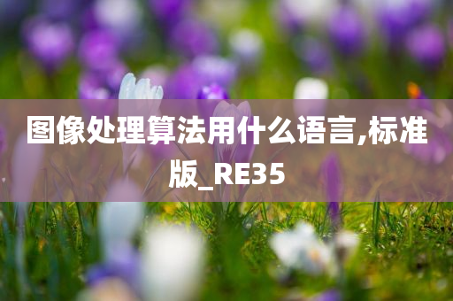 图像处理算法用什么语言,标准版_RE35