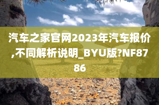 汽车之家官网2023年汽车报价,不同解析说明_BYU版?NF8786