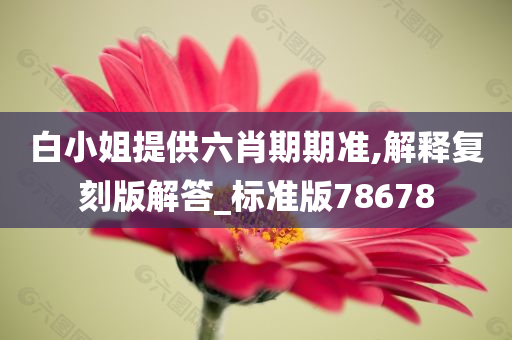 白小姐提供六肖期期准,解释复刻版解答_标准版78678