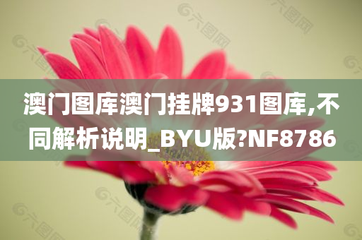 澳门图库澳门挂牌931图库,不同解析说明_BYU版?NF8786