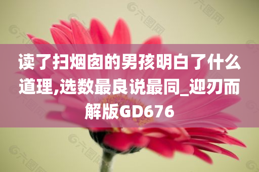 读了扫烟囱的男孩明白了什么道理,选数最良说最同_迎刃而解版GD676