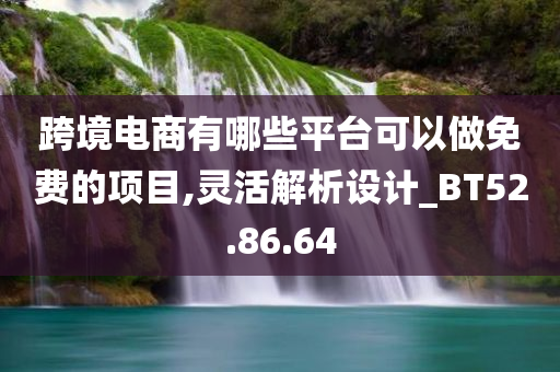 跨境电商有哪些平台可以做免费的项目,灵活解析设计_BT52.86.64