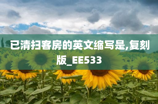 已清扫客房的英文缩写是,复刻版_EE533