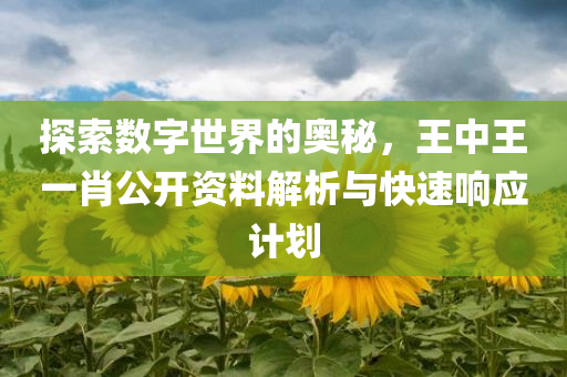 探索数字世界的奥秘，王中王一肖公开资料解析与快速响应计划