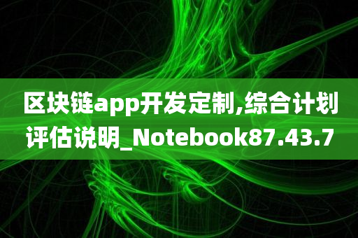 区块链app开发定制,综合计划评估说明_Notebook87.43.70