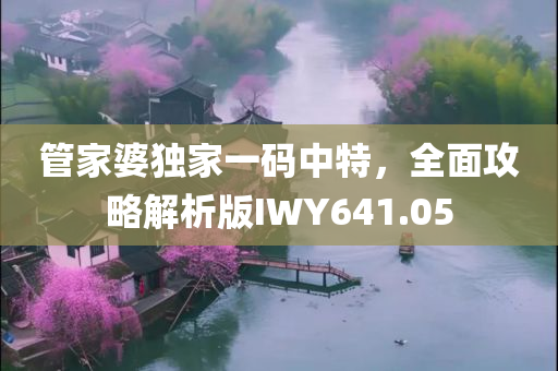 管家婆独家一码中特，全面攻略解析版IWY641.05