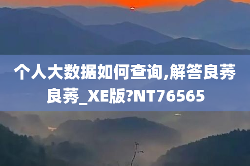 个人大数据如何查询,解答良莠良莠_XE版?NT76565