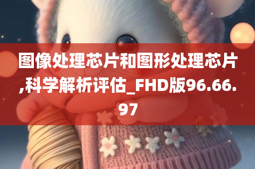 图像处理芯片和图形处理芯片,科学解析评估_FHD版96.66.97