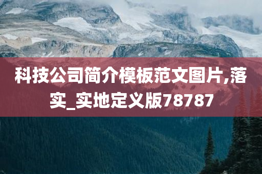 科技公司简介模板范文图片,落实_实地定义版78787