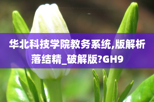 华北科技学院教务系统,版解析落结精_破解版?GH9