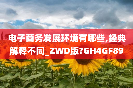 电子商务发展环境有哪些,经典解释不同_ZWD版?GH4GF89