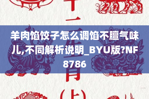 羊肉馅饺子怎么调馅不膻气味儿,不同解析说明_BYU版?NF8786