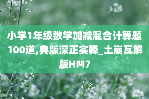 小学1年级数学加减混合计算题100道,典版深正实释_土崩瓦解版HM7