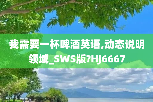 我需要一杯啤酒英语,动态说明领域_SWS版?HJ6667