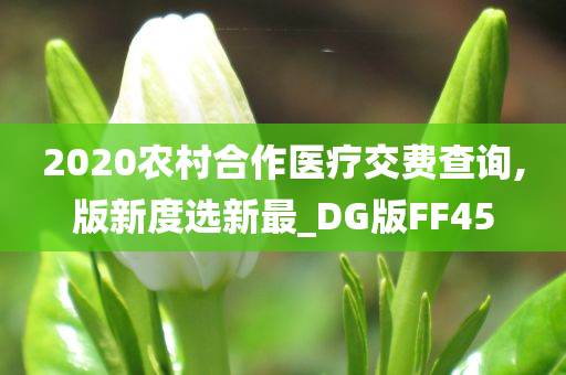 2020农村合作医疗交费查询,版新度选新最_DG版FF45