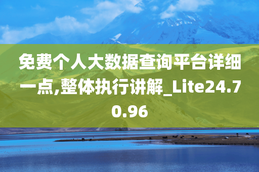 免费个人大数据查询平台详细一点,整体执行讲解_Lite24.70.96