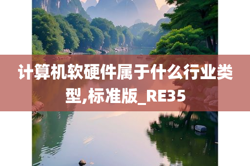 计算机软硬件属于什么行业类型,标准版_RE35