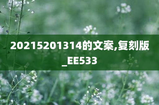 20215201314的文案,复刻版_EE533