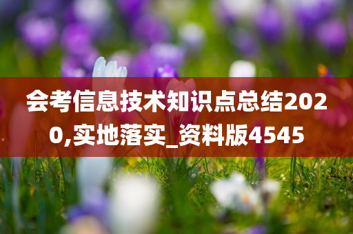 会考信息技术知识点总结2020,实地落实_资料版4545