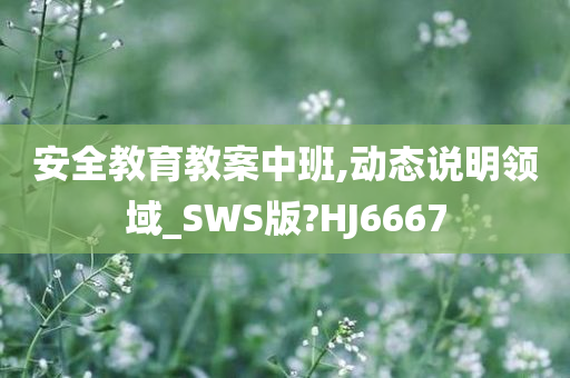 安全教育教案中班,动态说明领域_SWS版?HJ6667