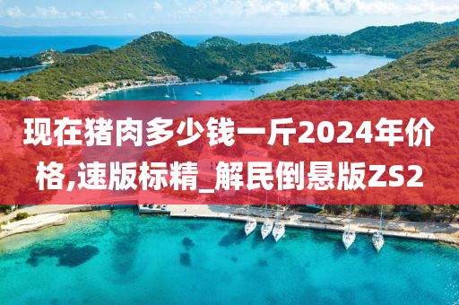 现在猪肉多少钱一斤2024年价格,速版标精_解民倒悬版ZS2